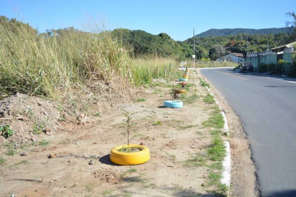 Parceria mostra que é possível transformar uma área de lixo em um bonito jardim