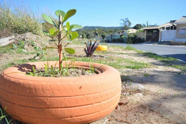 Jardim é um opção para frear o acúmulo de lixo em pontos da cidade.