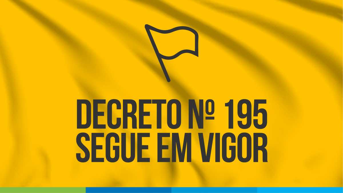 Decreto 195