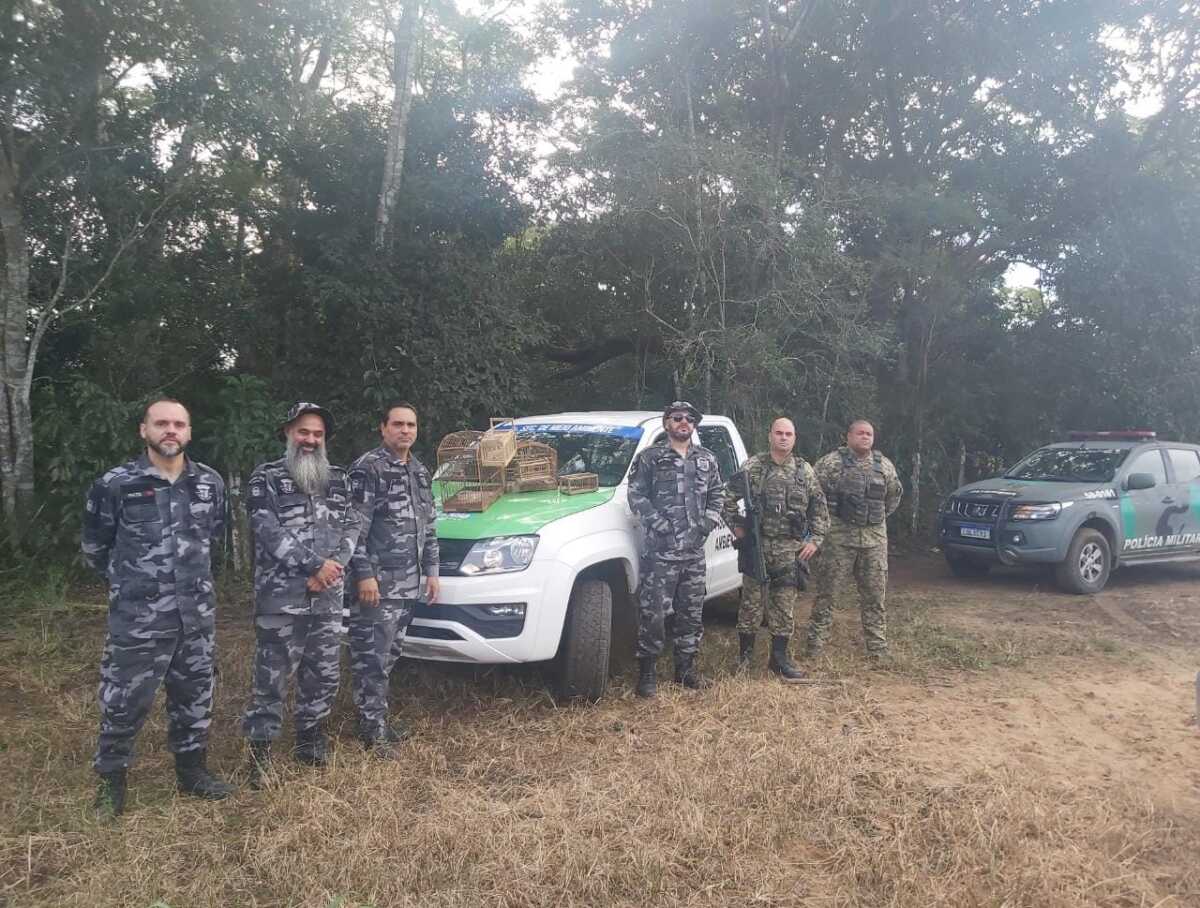 Guarda Ambiental resgata macaco-prego e fragata em São Pedro da