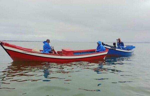No primeiro dia de liberação da pesca, foram capturados mais de 14 toneladas de pescado | Foto: Divulgação/Associação de Pescadores da Baleia