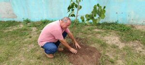 Semana do Meio Ambiente - Plantio de Mudas (26)