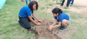 Semana do Meio Ambiente - Plantio de Mudas (45)