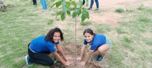 Semana do Meio Ambiente - Plantio de Mudas (47)