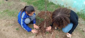 Semana do Meio Ambiente - Plantio de Mudas (48)