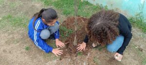 Semana do Meio Ambiente - Plantio de Mudas (50)