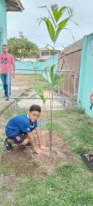 Semana do Meio Ambiente - Plantio de Mudas (55)