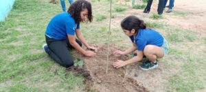 Semana do Meio Ambiente - Plantio de Mudas (56)