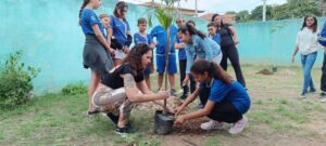 Semana do Meio Ambiente - Plantio de Mudas (64)