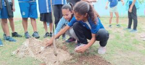 Semana do Meio Ambiente - Plantio de Mudas (65)