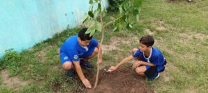 Semana do Meio Ambiente - Plantio de Mudas (66)