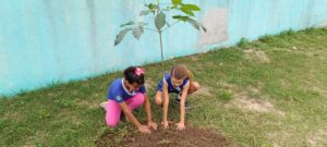 Semana do Meio Ambiente - Plantio de Mudas (67)