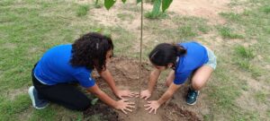 Semana do Meio Ambiente - Plantio de Mudas (68)