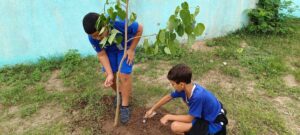 Semana do Meio Ambiente - Plantio de Mudas (72)