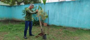 Semana do Meio Ambiente - Plantio de Mudas (77)