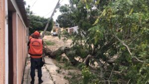 As ações foram intensificadas nas localidades com maior incidência de ocorrências | Fotos: Divulgação