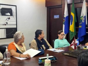 Reunião com o CMDI