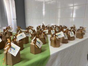 WhatsApp Image 2025-11-13 at 16.52.49