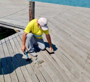 WhatsApp Image 2025-12-03 at 16.13.30