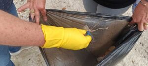 WhatsApp Image 2025-12-04 at 16.36.34 (1)