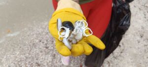 WhatsApp Image 2025-12-04 at 16.36.34