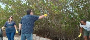 WhatsApp Image 2025-12-04 at 16.36.36