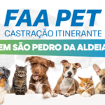 São Pedro da Aldeia recebe Castração Itinerante com 260 vagas gratuitas para cães e gatos